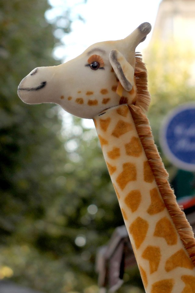 Murray, la girafe mascotte des boutiques